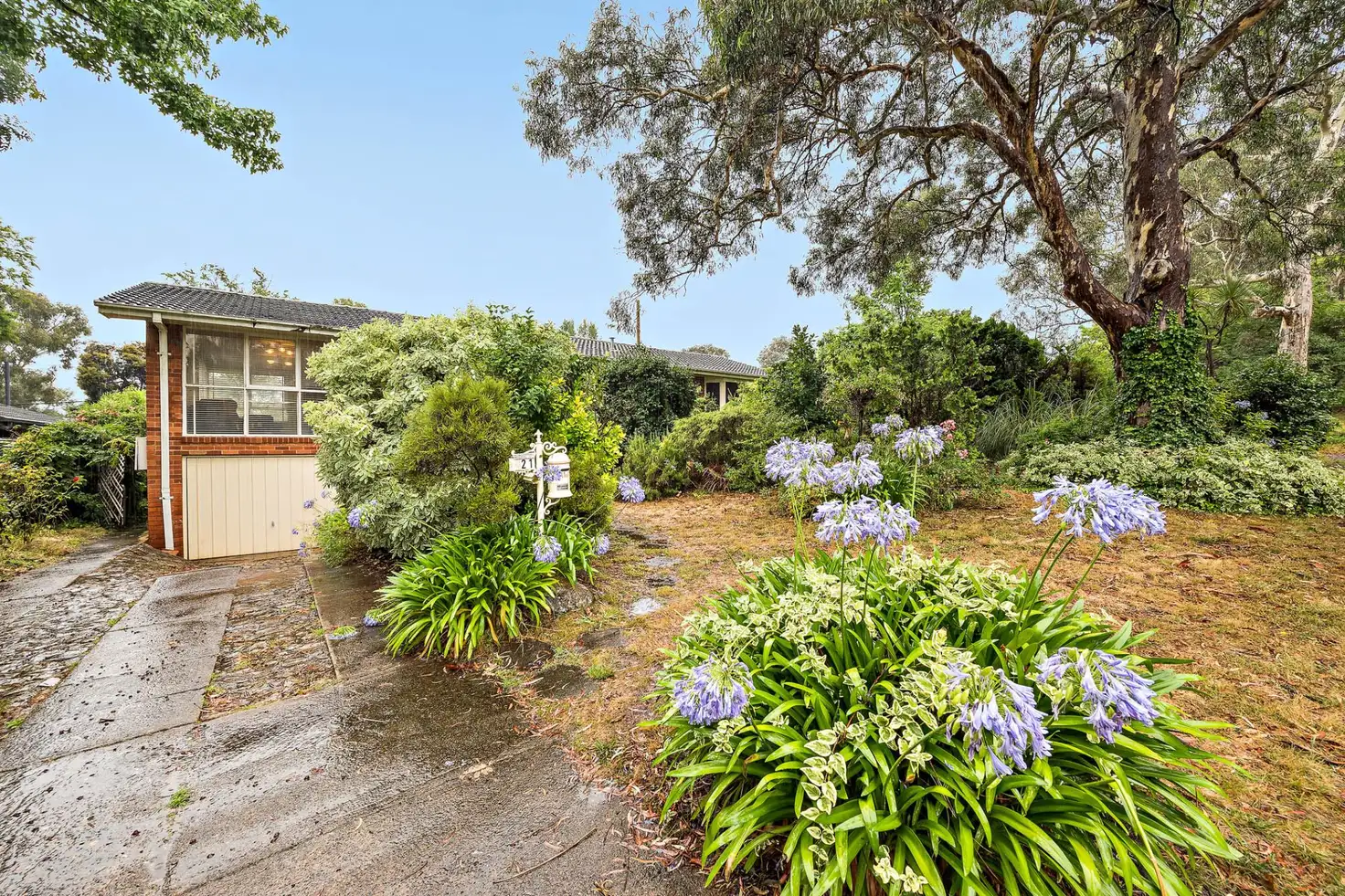 Main view of Homely house listing, 21 Canning Street, Ainslie ACT 2602