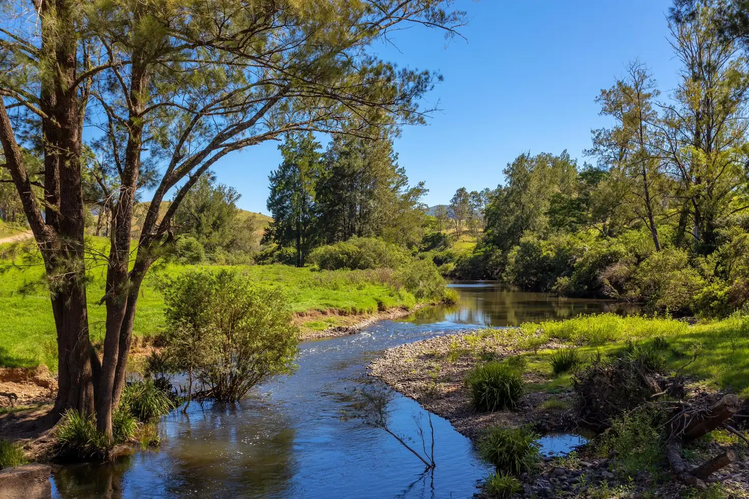 Main view of Homely rural property listing, 65 Cells Road, Number One NSW 2424