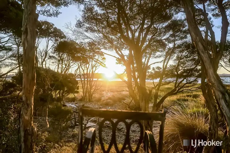 Second view of Homely house listing, 910 Windermere Road, Swan Bay TAS 7252