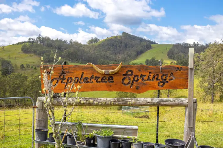 Second view of Homely rural property listing, 197 Bimbadeen Road, Wherrol Flat NSW 2429