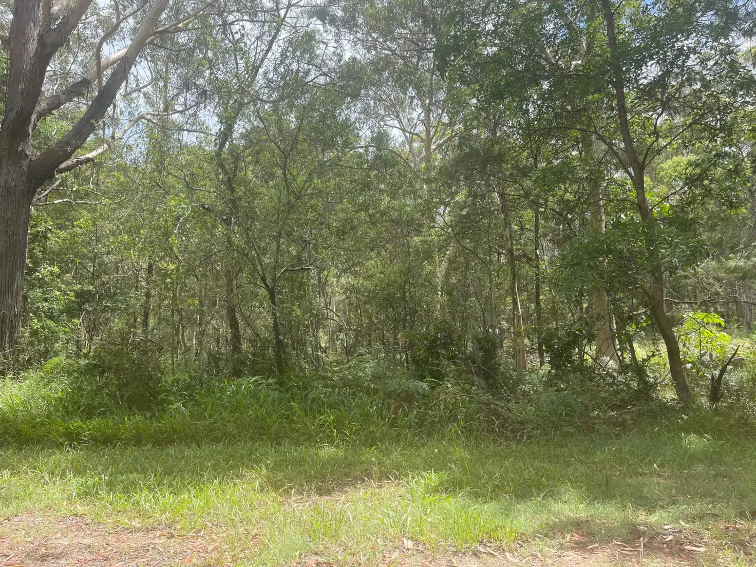 Main view of Homely land listing, 23 Basket Beach Road, Russell Island QLD 4184