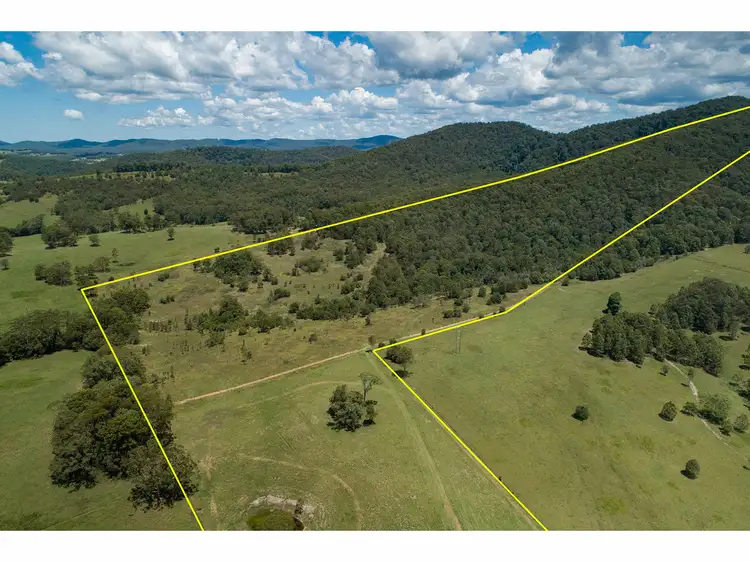 Third view of Homely rural property listing, 12297 Pacific Highway, Coolongolook NSW 2423
