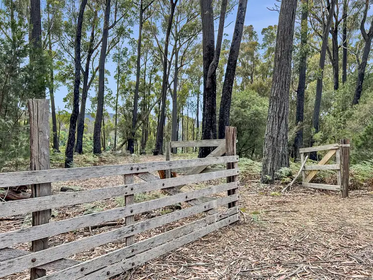 Fourth view of Homely land listing, 858 Upper Scamander Road, Upper Scamander TAS 7215