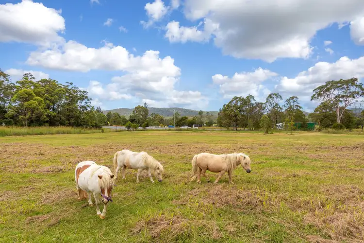 Second view of Homely rural property listing, 12623 Pacific Highway, Coolongolook NSW 2423