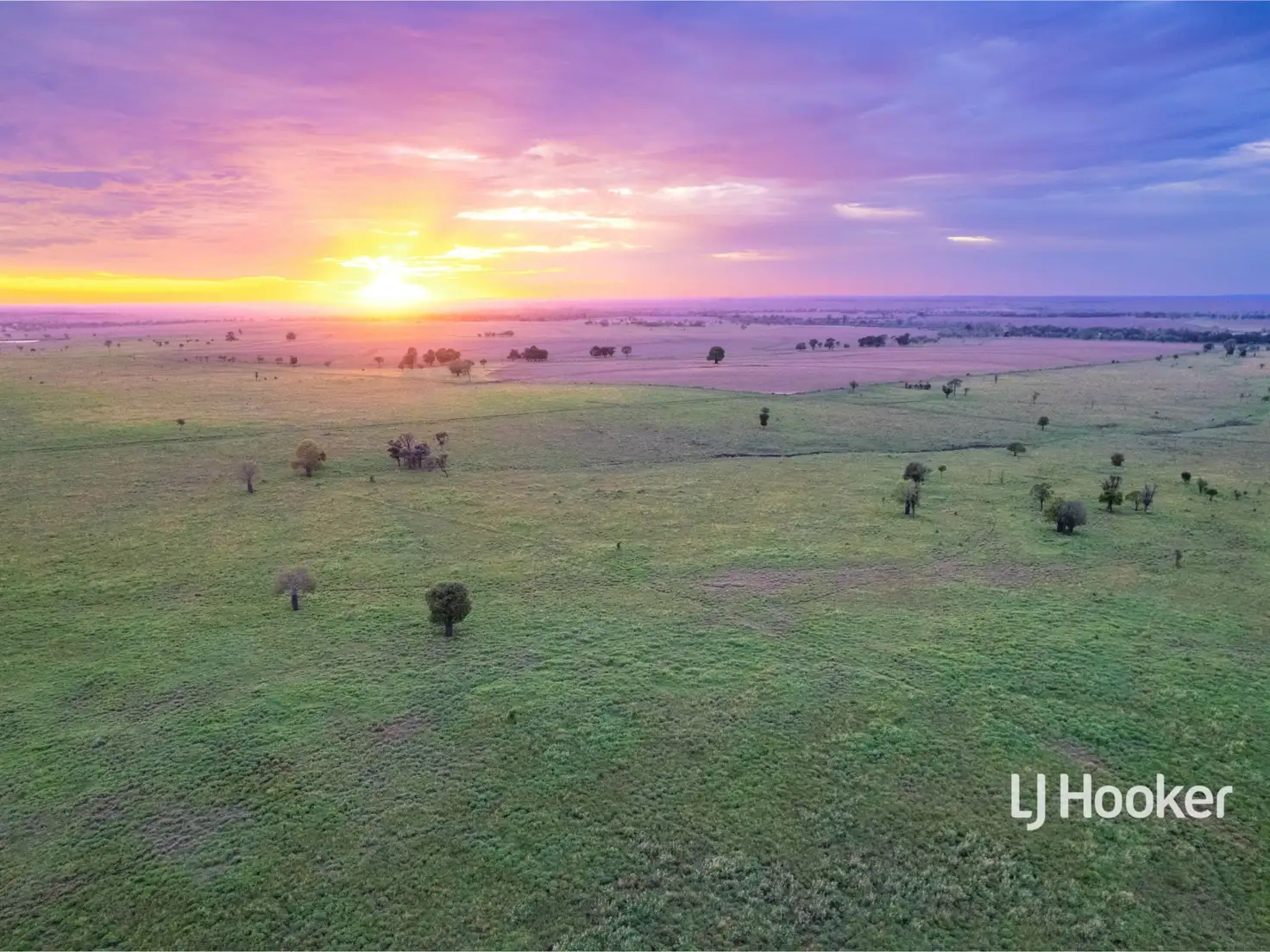Main view of Homely rural property listing, 1408 "Bindango" - Bindango Road, Roma QLD 4455