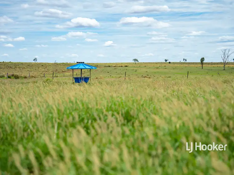 Fourth view of Homely rural property listing, 1408 "Bindango" - Bindango Road, Roma QLD 4455