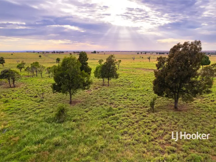 Fifth view of Homely rural property listing, 1408 "Bindango" - Bindango Road, Roma QLD 4455