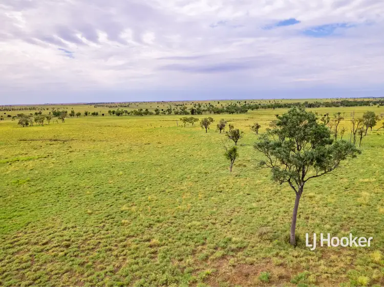 Sixth view of Homely rural property listing, 1408 "Bindango" - Bindango Road, Roma QLD 4455