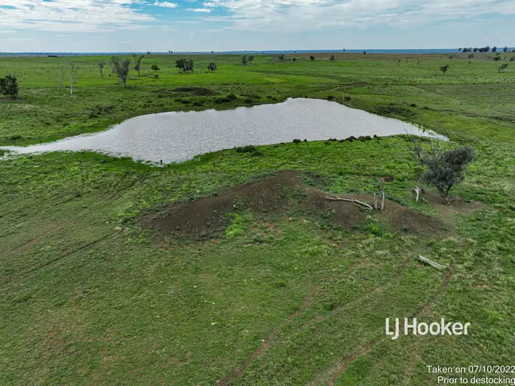 Seventh view of Homely rural property listing, 1408 "Bindango" - Bindango Road, Roma QLD 4455