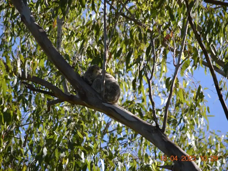 Second view of Homely house listing, 25 Burrows Street, Moore QLD 4314