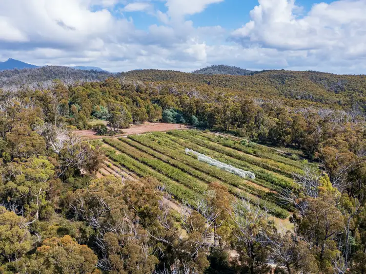 Fifth view of Homely land listing, 26754/5 Tasman Highway, Scamander TAS 7215