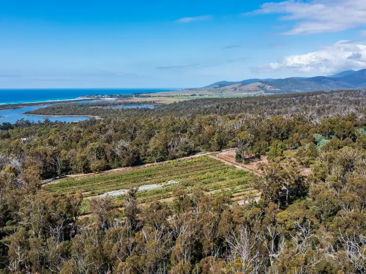 Sixth view of Homely land listing, 26754/5 Tasman Highway, Scamander TAS 7215