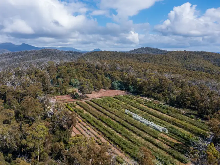 Seventh view of Homely land listing, 26754/5 Tasman Highway, Scamander TAS 7215