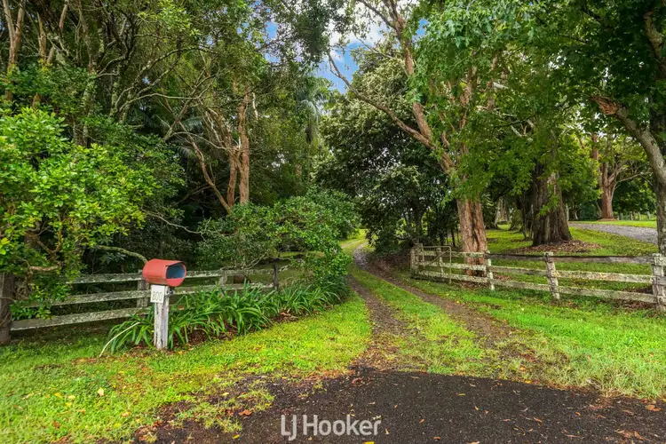 Second view of Homely rural property listing, 800 Rous Road, Tregeagle NSW 2480