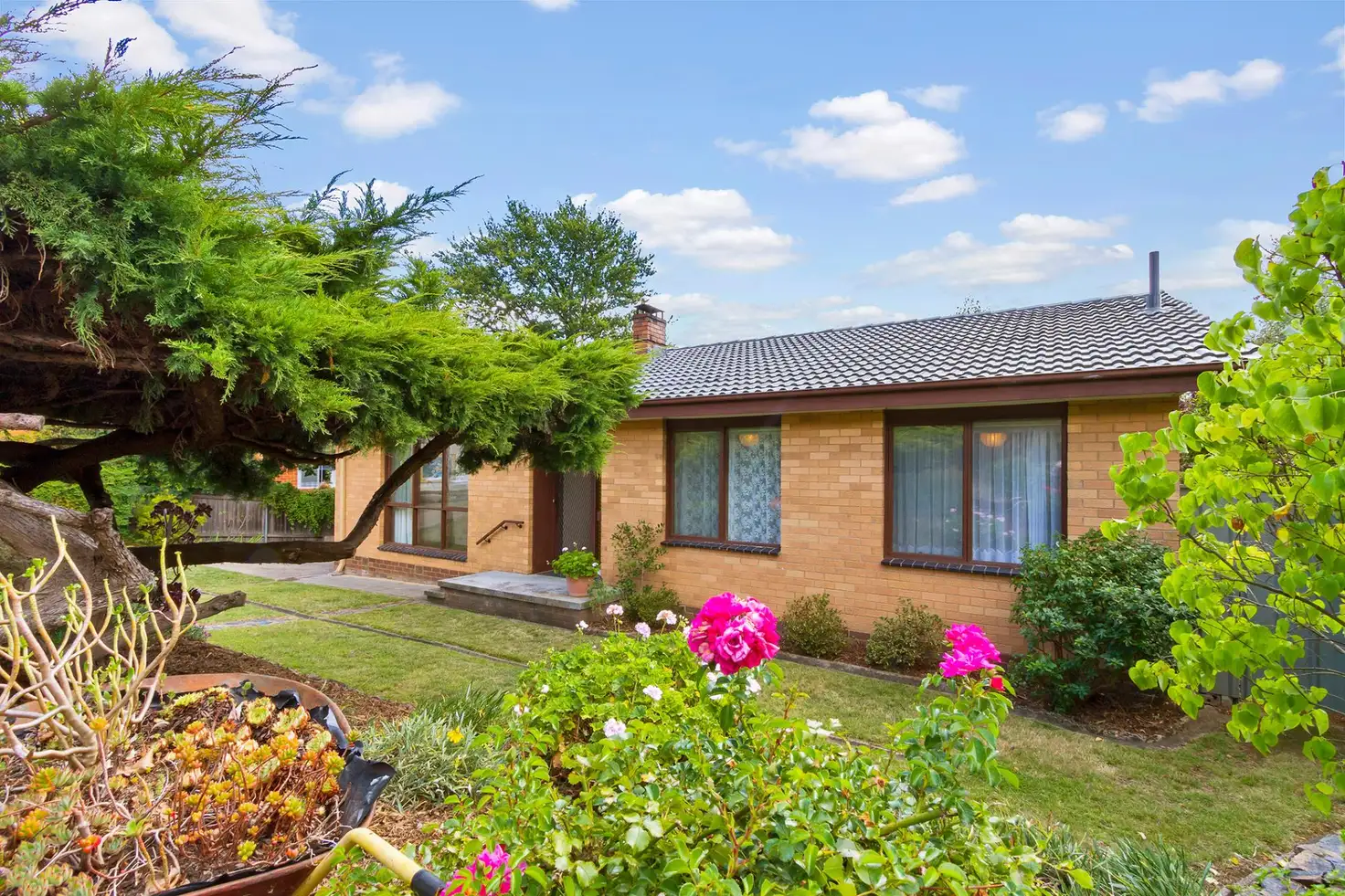 Main view of Homely house listing, 17 Weingarth Street, Holder ACT 2611