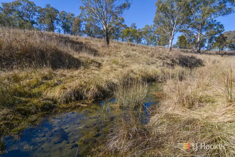 Second view of Homely rural property listing, Lot 12 Portland Cullen Bullen Road, Portland NSW 2847
