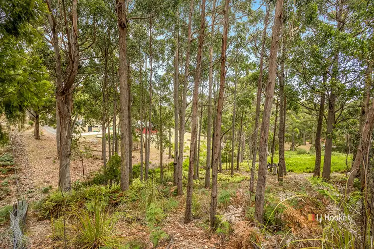 Third view of Homely land listing, 1 Woodland Grove, Tugrah TAS 7310