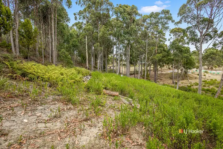 Fourth view of Homely land listing, 1 Woodland Grove, Tugrah TAS 7310