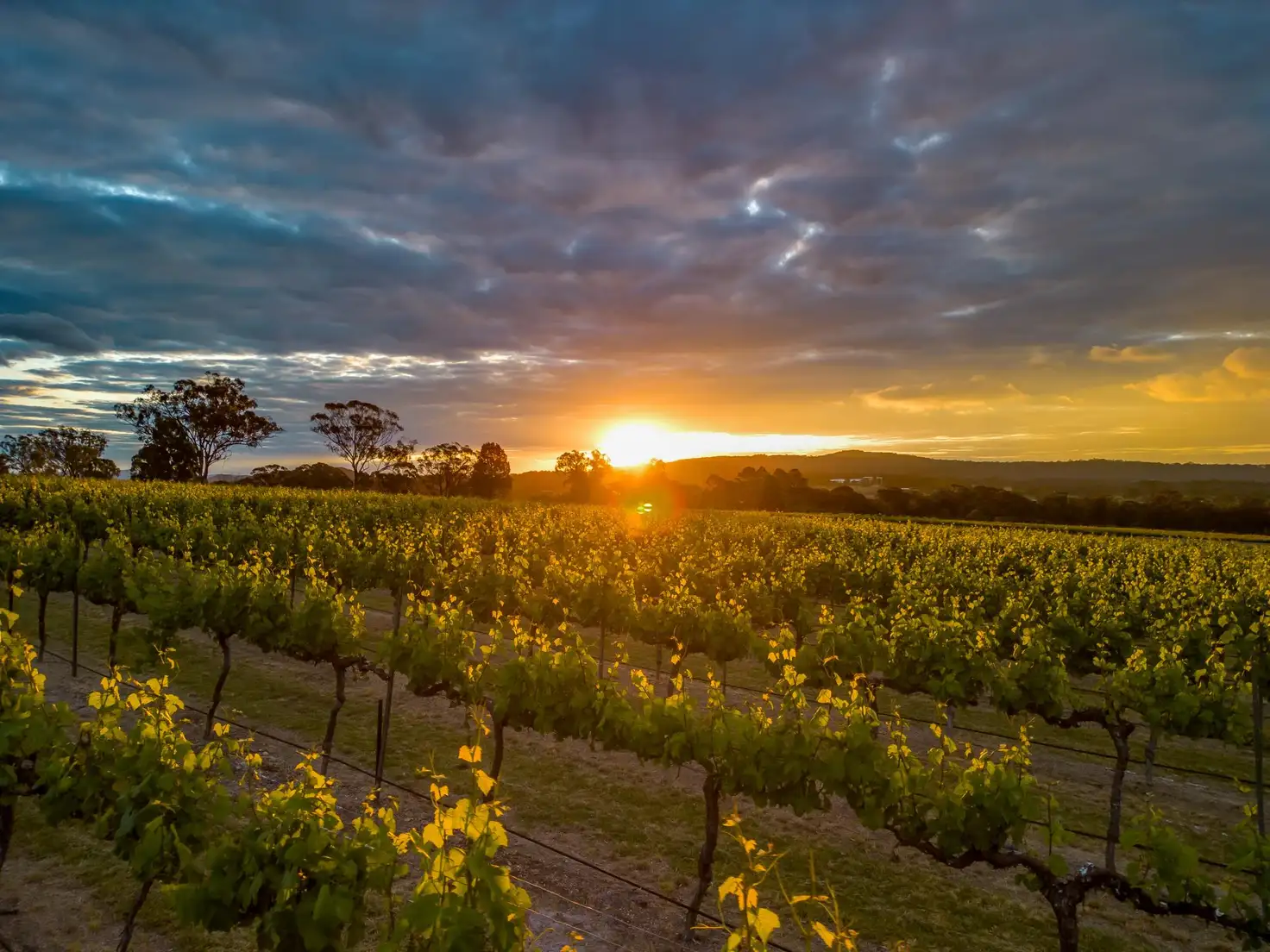 Main view of Homely land listing, 23 Turner Road, Severnlea QLD 4380