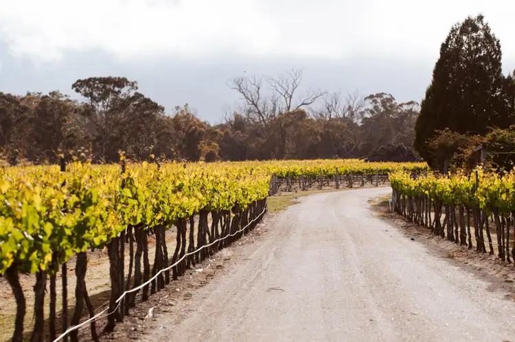 Third view of Homely land listing, 23 Turner Road, Severnlea QLD 4380