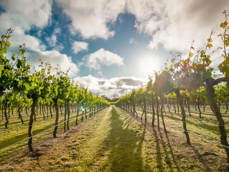 Fourth view of Homely land listing, 23 Turner Road, Severnlea QLD 4380