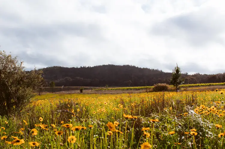 Sixth view of Homely land listing, 23 Turner Road, Severnlea QLD 4380