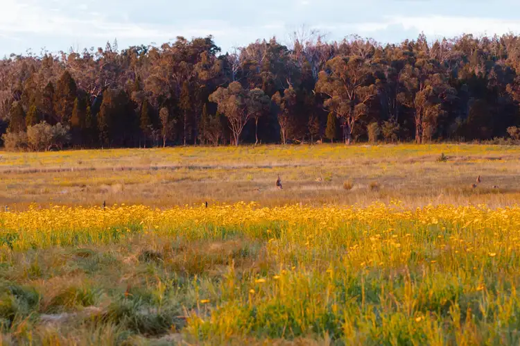Seventh view of Homely land listing, 23 Turner Road, Severnlea QLD 4380