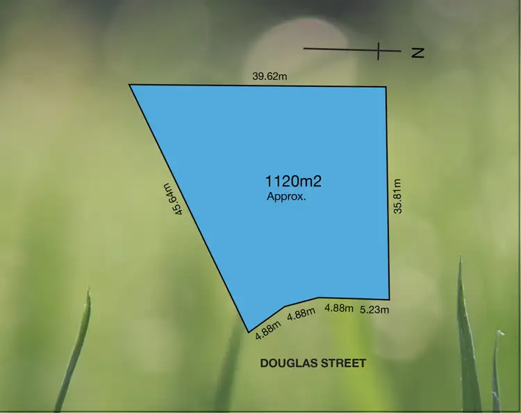 39 Douglas Street, Lockleys SA 5032