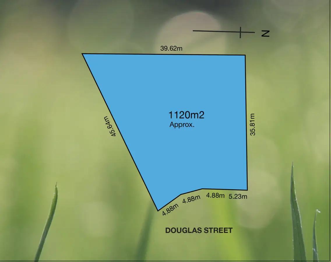 Main view of Homely house listing, 39 Douglas Street, Lockleys SA 5032