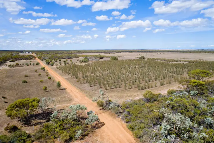 Fourth view of Homely land listing, Lot 1355/ Hopetoun-Ravensthorpe Road, Ravensthorpe WA 6346