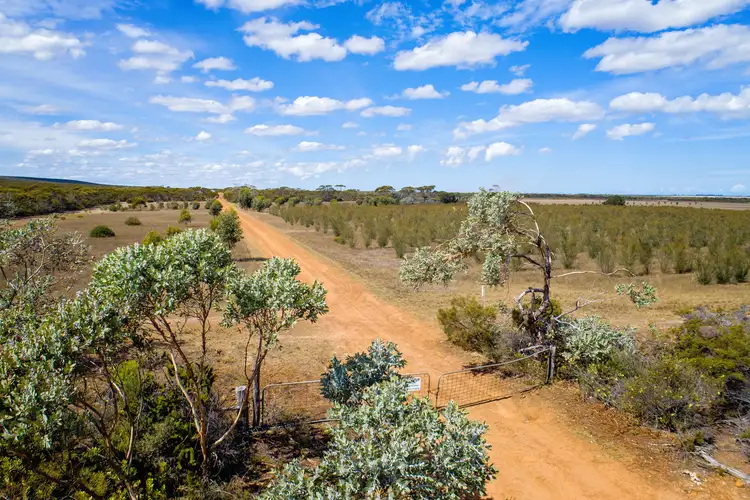 Sixth view of Homely land listing, Lot 1355/ Hopetoun-Ravensthorpe Road, Ravensthorpe WA 6346