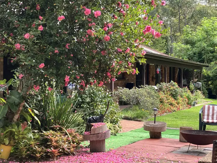 Main view of Homely house listing, 15 Rainforest Drive, Mitchells Island NSW 2430
