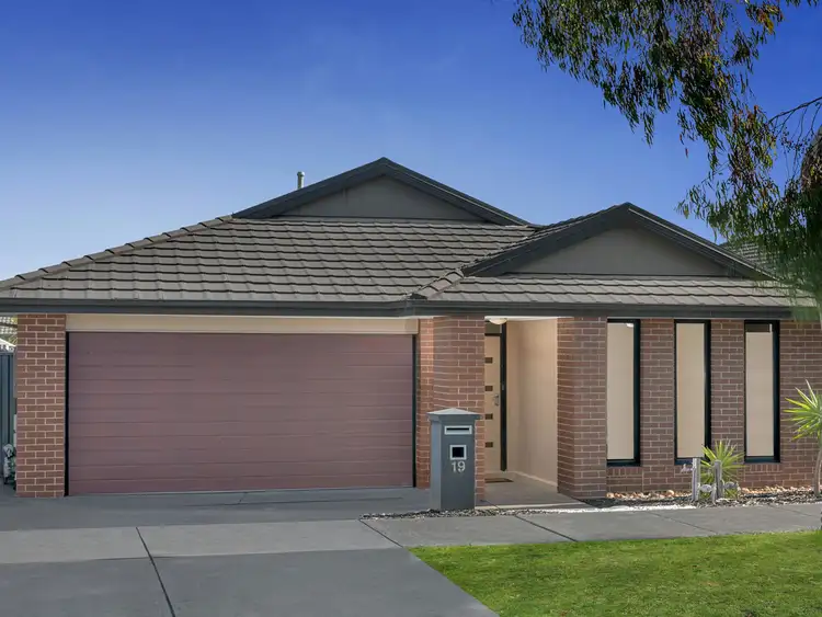 Fourth view of Homely house listing, 19 Black Range Avenue, Craigieburn VIC 3064