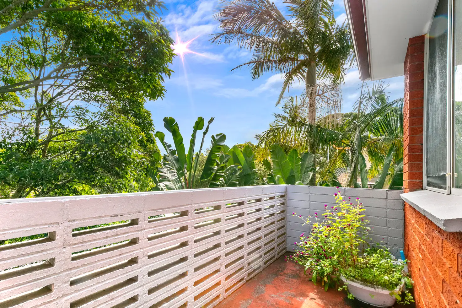 Main view of Homely apartment listing, 14/11 Avon Road, Dee Why NSW 2099