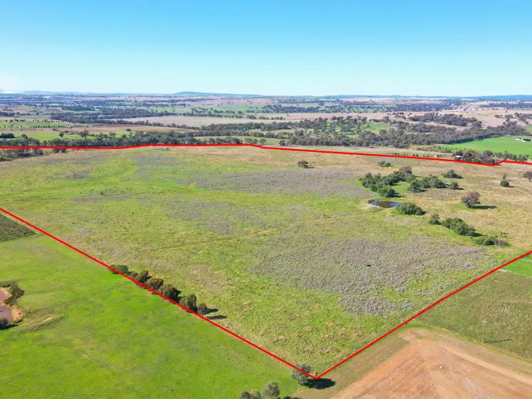 135 Bribbaree Road, Young NSW 2594