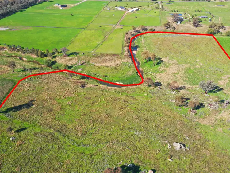 Second view of Homely rural property listing, 135 Bribbaree Road, Young NSW 2594