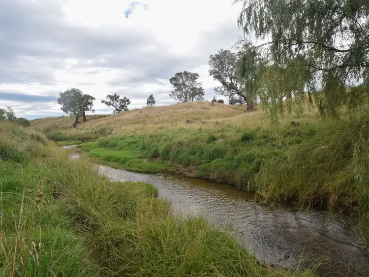 Fourth view of Homely rural property listing, 135 Bribbaree Road, Young NSW 2594