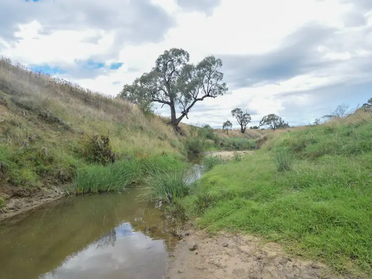 Sixth view of Homely rural property listing, 135 Bribbaree Road, Young NSW 2594