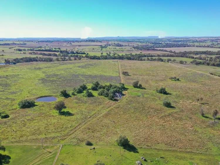 Seventh view of Homely rural property listing, 135 Bribbaree Road, Young NSW 2594