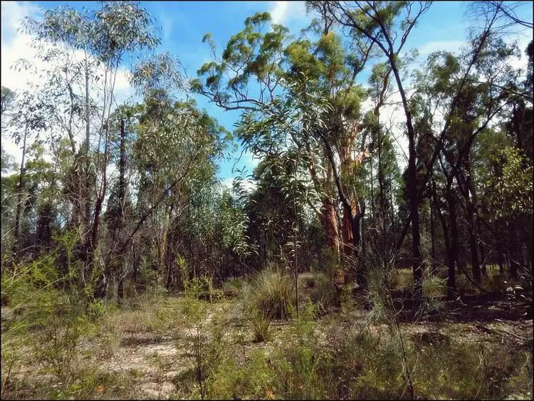 Seventh view of Homely land listing, Lot 48/ Kimberley Drive, Cypress Gardens QLD 4357