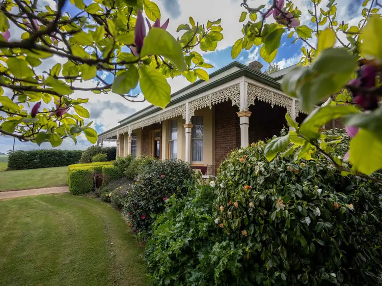 160 Skelbrook Lane, Sassafras TAS 7307