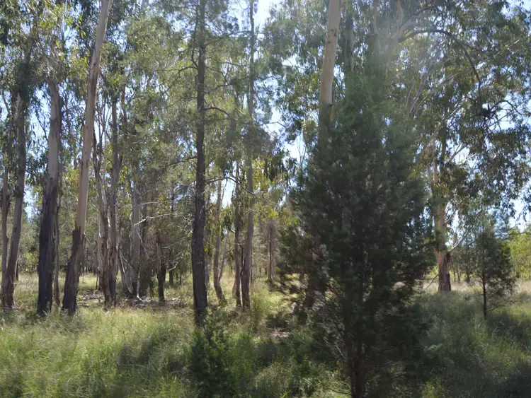 Seventh view of Homely rural property listing, 85 Fogartys Crossing Road, Leyburn QLD 4365