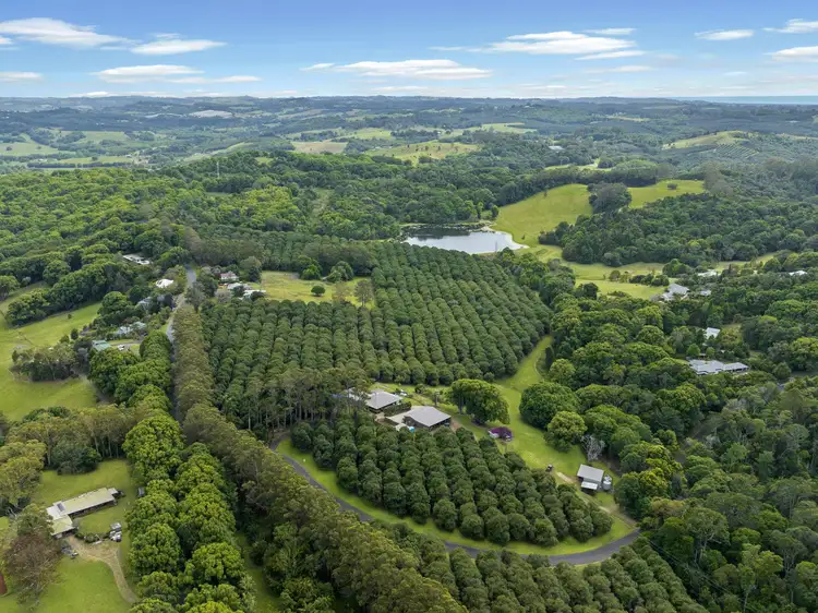 Second view of Homely rural property listing, 596 Pearces Creek Road, Alstonvale NSW 2477