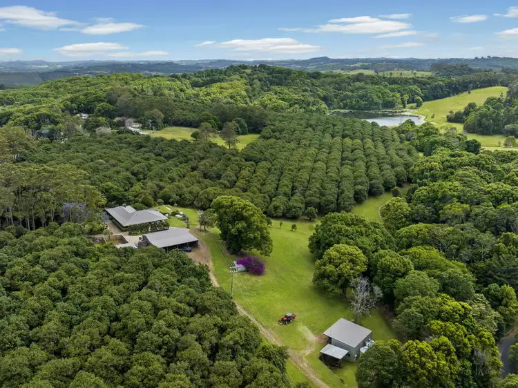Third view of Homely rural property listing, 596 Pearces Creek Road, Alstonvale NSW 2477