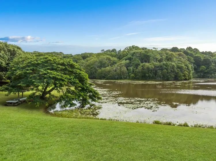 Sixth view of Homely rural property listing, 596 Pearces Creek Road, Alstonvale NSW 2477
