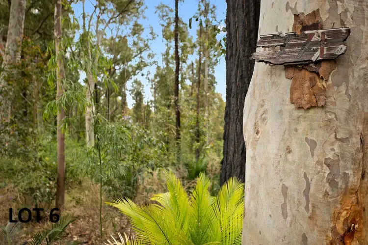 Fourth view of Homely land listing, 771 The Ridge Road, Lilli Pilli NSW 2536