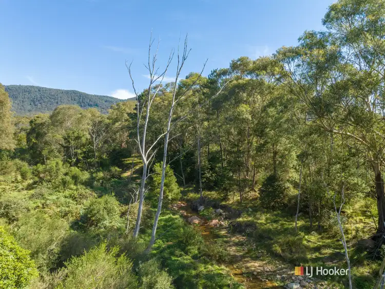 Third view of Homely house listing, 1086 Furners Road, Bemboka NSW 2550