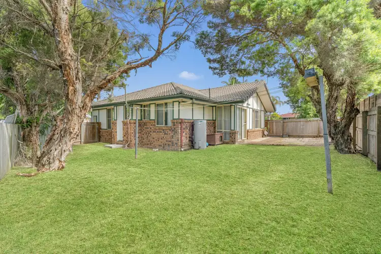 Second view of Homely house listing, 53 Pardalote Place, Bellmere QLD 4510