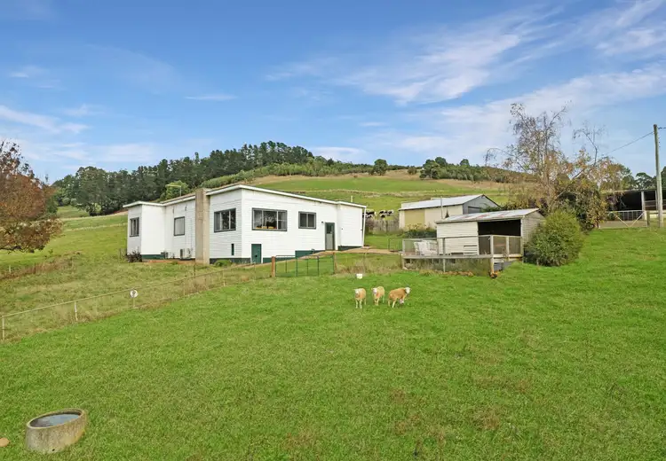 Fifth view of Homely rural property listing, 9 Harveys Road, North Motton TAS 7315