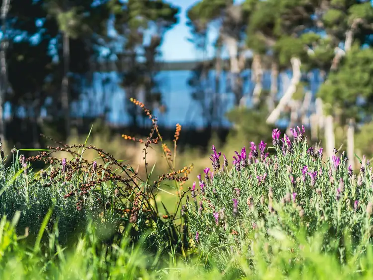 Third view of Homely house listing, 2/484 Binalong Bay Road, St Helens TAS 7216